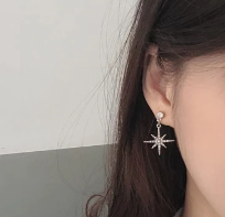 Moon Star Dangle Earrings